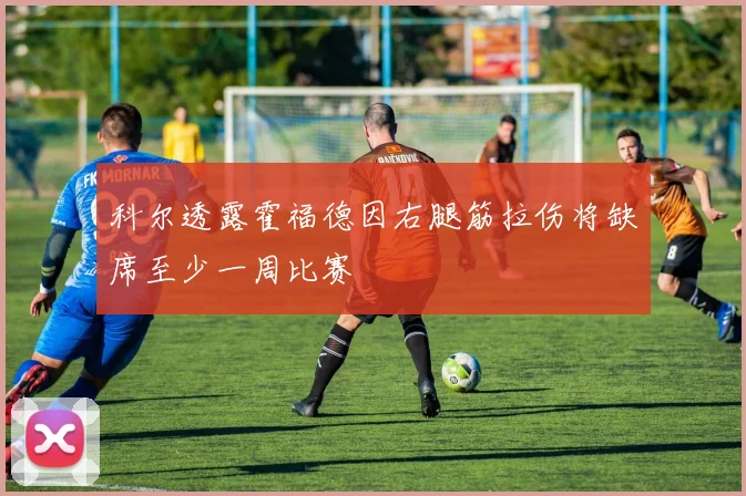 科尔透露霍福德因右腿筋拉伤将缺席至少一周比赛