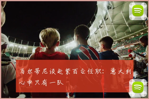 马尔蒂尼谈赴紫百合任职：意大利心中只有一队