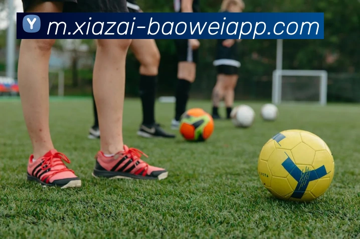 App Interface Preview