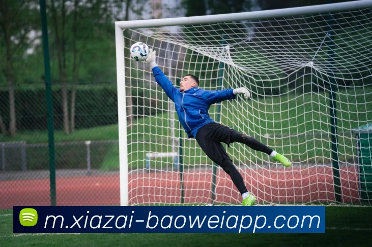 宝威体育APP 封面图